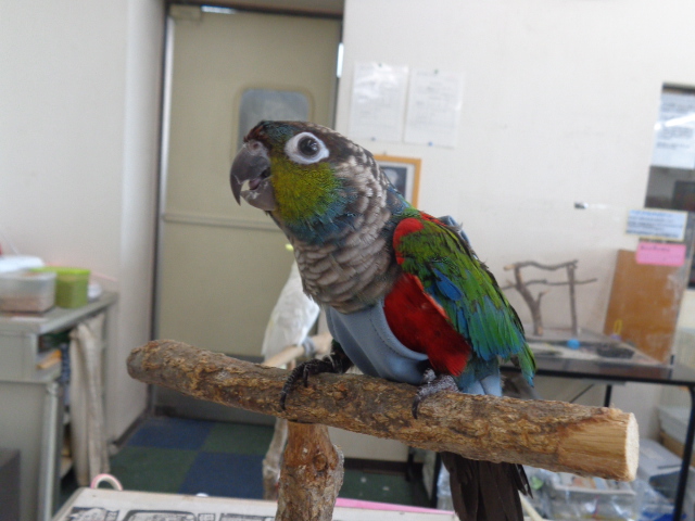 20150831-dsc04089.jpg 20150831-dsc04089.jpg