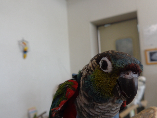 20150831-dsc04092.jpg 20150831-dsc04092.jpg
