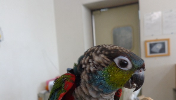 20150831-dsc04093.jpg 20150831-dsc04093.jpg