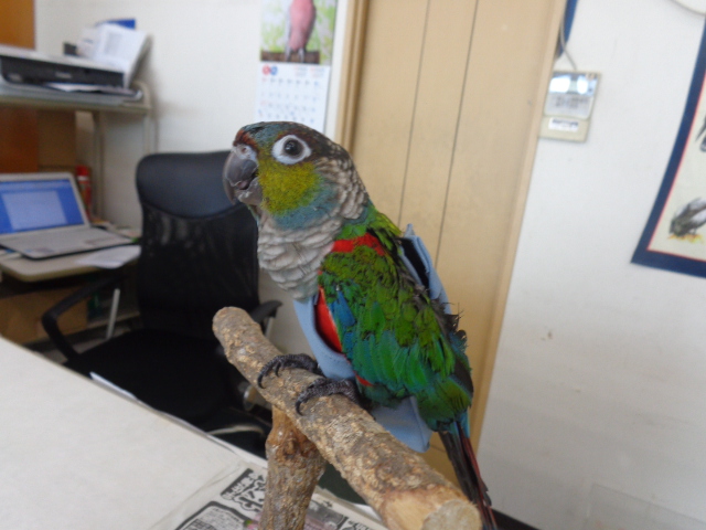 20150831-dsc04096.jpg 20150831-dsc04096.jpg