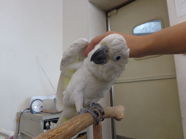20150831-dsc04171.jpg 20150831-dsc04171.jpg