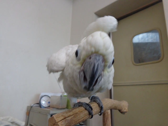 20150831-dsc04174.jpg 20150831-dsc04174.jpg
