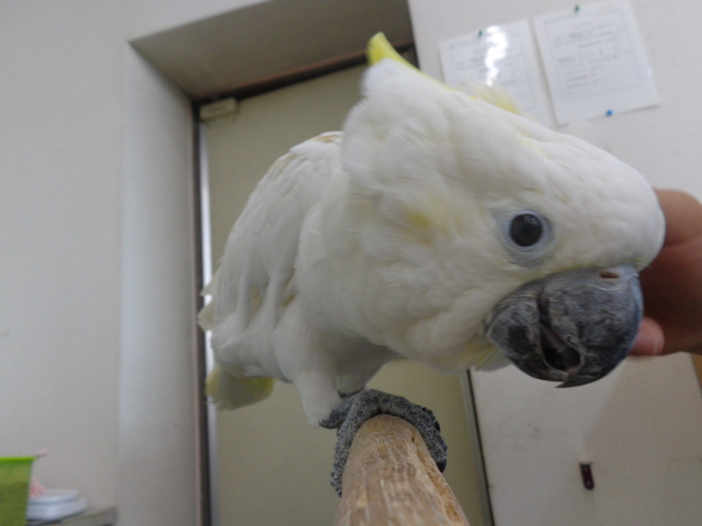 20150831-dsc04176.jpg 20150831-dsc04176.jpg