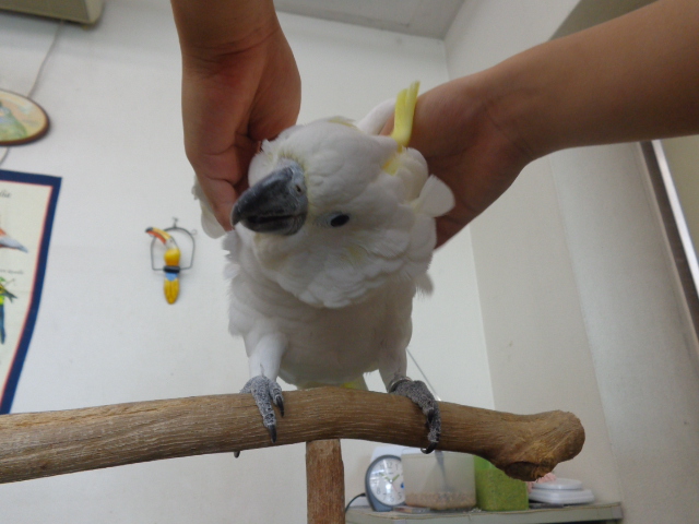 20150831-dsc04177.jpg 20150831-dsc04177.jpg