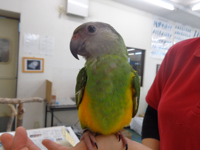 20150831-dsc04184.jpg 20150831-dsc04184.jpg