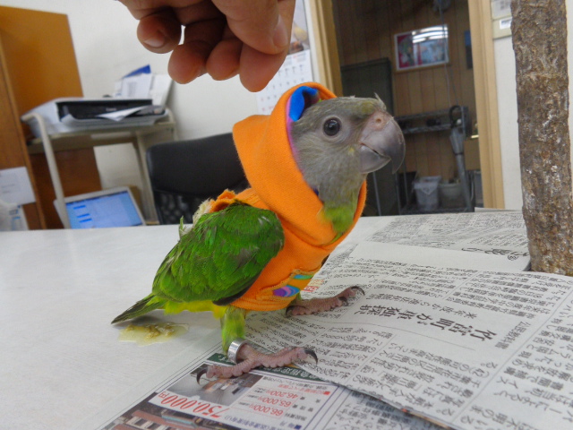 20150920-dsc04316.jpg 20150920-dsc04316.jpg