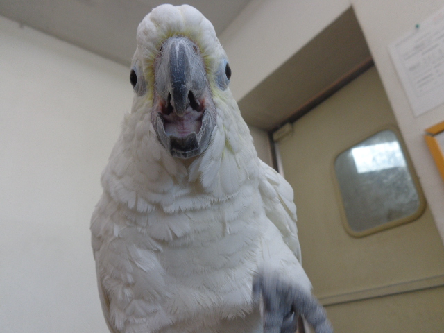 20150920-dsc04359.jpg 20150920-dsc04359.jpg