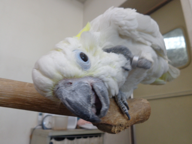 20150920-dsc04360.jpg 20150920-dsc04360.jpg