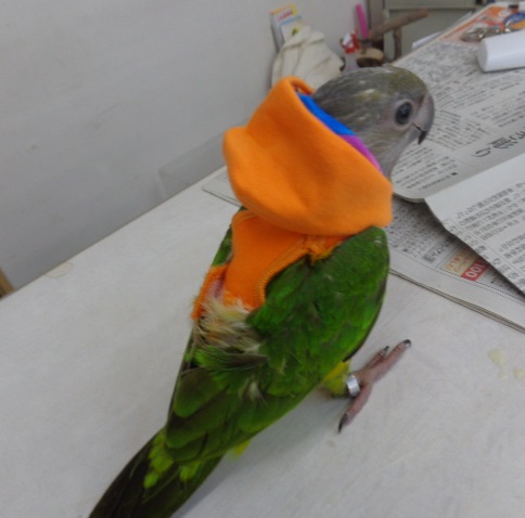 20150920-frtfsds.jpg 20150920-frtfsds.jpg