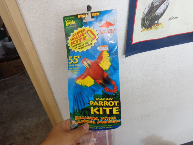 20151102-dsc04643.jpg 20151102-dsc04643.jpg