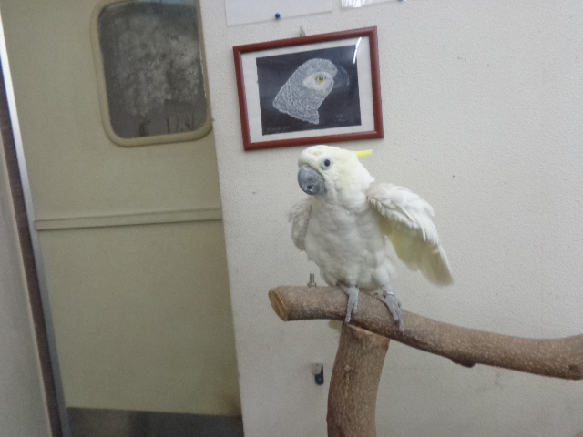20160229-dsc00435.jpg 20160229-dsc00435.jpg