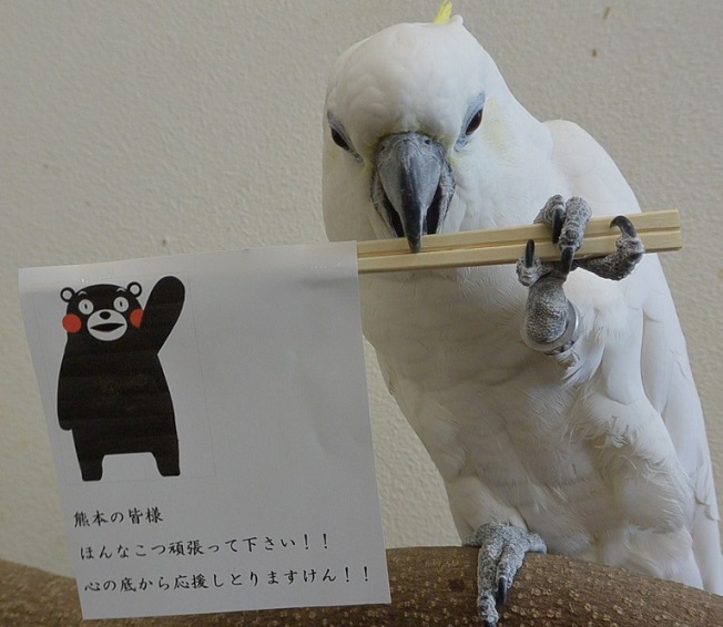 20160430-ghrrrsdf.jpg 20160430-ghrrrsdf.jpg