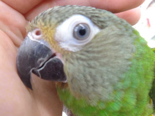 20181225-dsc01193.jpg