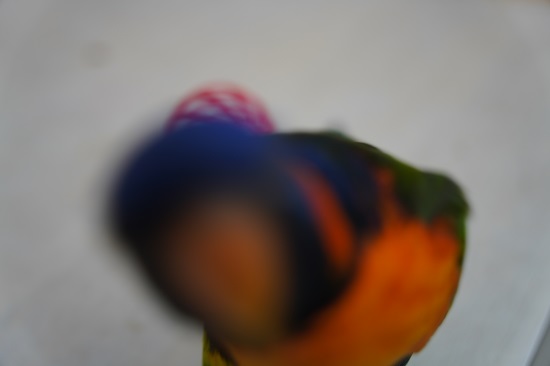 null null