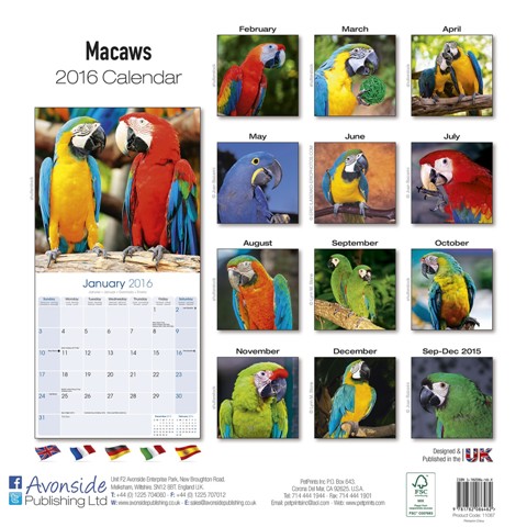 20150919-macaw2.jpg