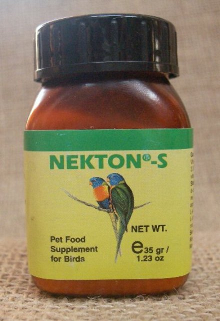 20151210-nektons.jpg