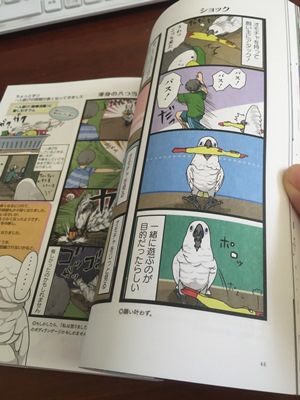 20160629-itazura2.jpg 20160629-itazura2.jpg