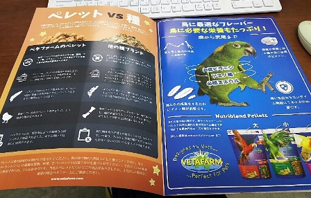 20170331-katarogu.jpg 20170331-katarogu.jpg