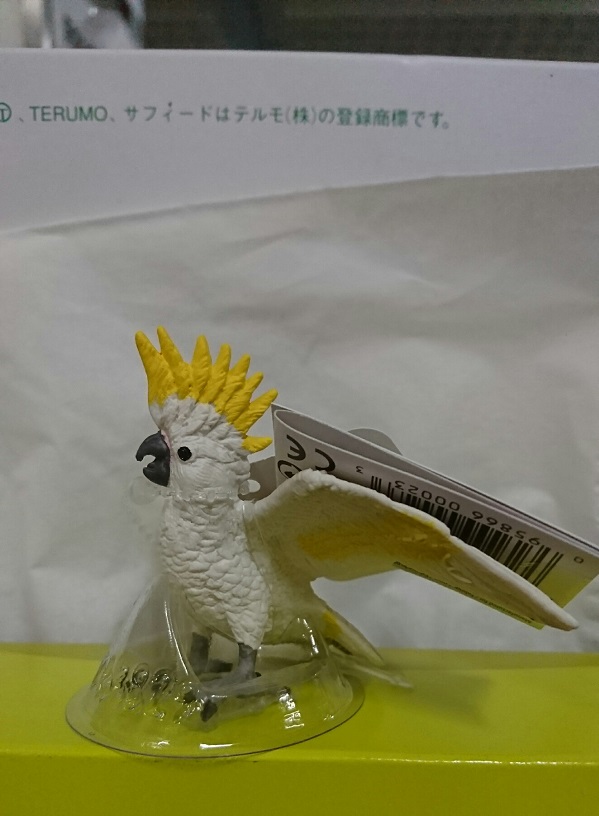 20180630-6.jpg 20180630-6.jpg