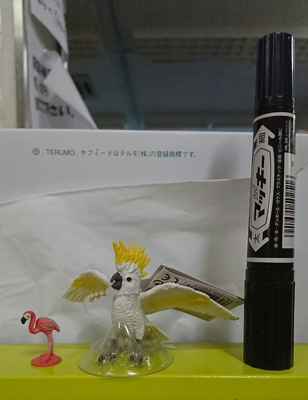 20180630-7.jpg 20180630-7.jpg