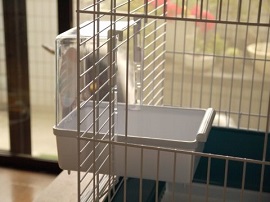 20190525-basu.jpg 20190525-basu.jpg