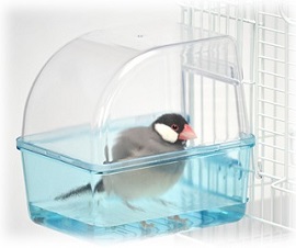 20190525-kotorino.jpg 20190525-kotorino.jpg