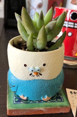 20190527-image1.jpeg 20190527-image1.jpeg