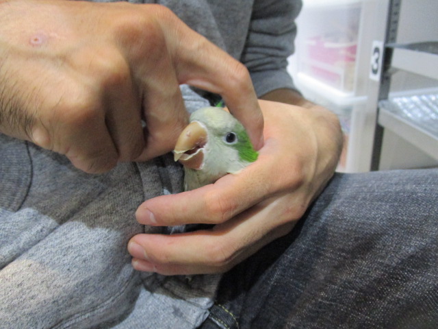 20181103-005.jpg
