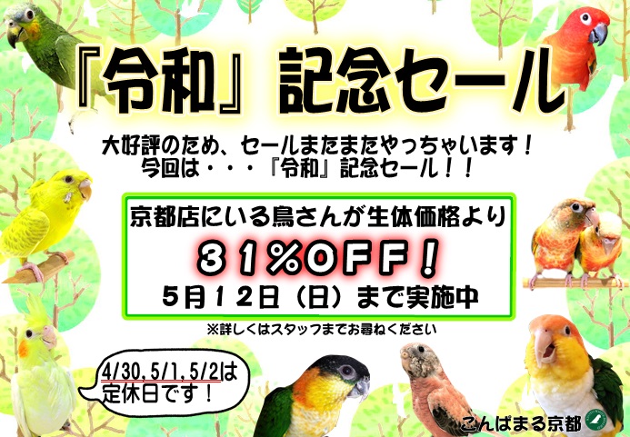 20190427-_____________________.jpg 20190427-_____________________.jpg