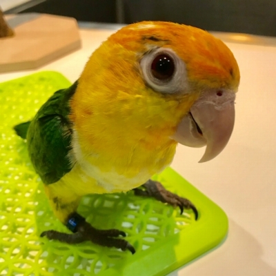 20190427-image1.jpg 20190427-image1.jpg