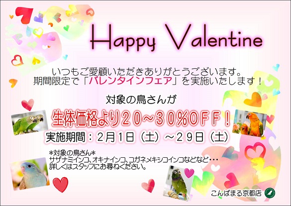京都店のblog - バレンタインフェア