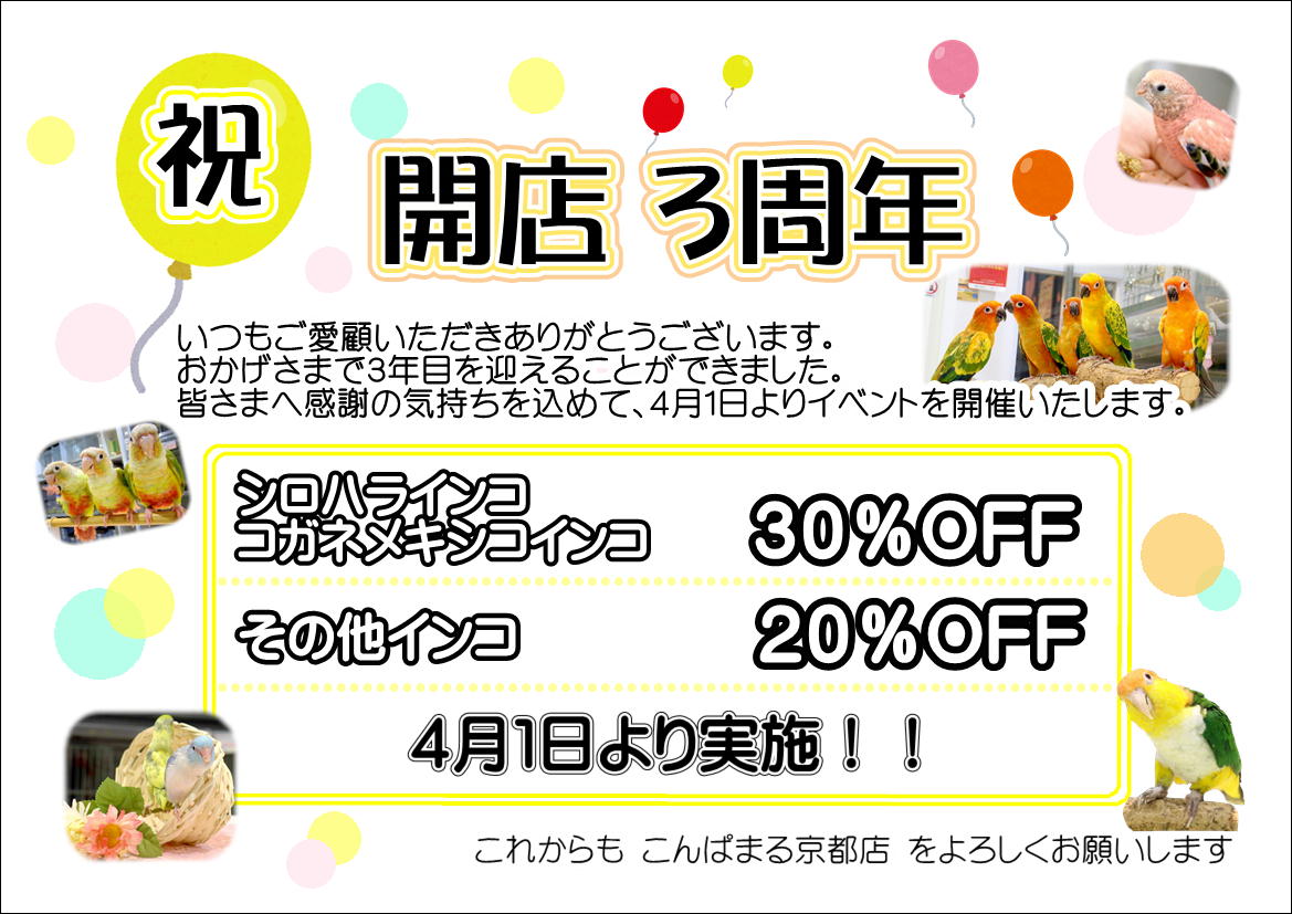 äº¬éƒ½åº—ã®blog - äº¬éƒ½åº—é™å®šã€3å‘¨å¹´è¨˜å¿µãƒ•ã‚§ã‚¢ã€‘