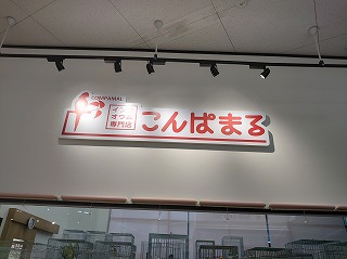 こんぱまる埼玉店 - 開店していますよ～！！