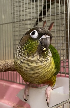 20201130-56.jpg