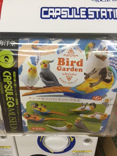 20151224-____________.jpg 20151224-____________.jpg