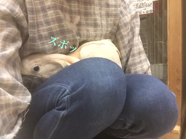 20160123-0123_6.jpg 20160123-0123_6.jpg