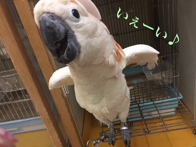 20161028-phonto.jpg 20161028-phonto.jpg