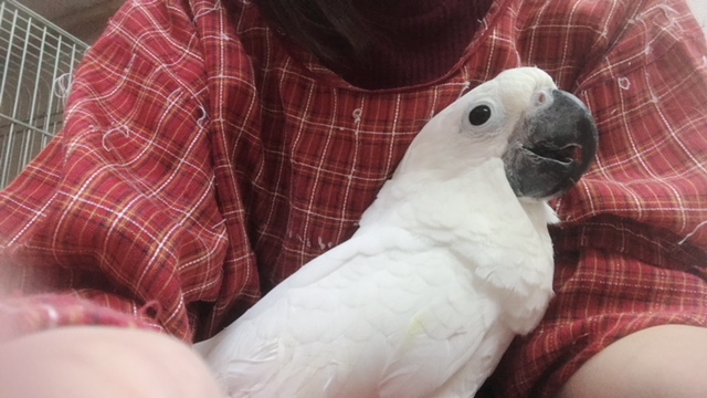 20171130-533378027_162440.jpg 20171130-533378027_162440.jpg