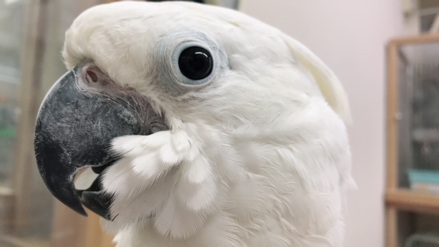 20171130-533378353_971453.jpg 20171130-533378353_971453.jpg