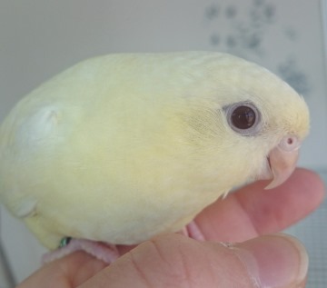 20150209-kurimu1.jpg 20150209-kurimu1.jpg