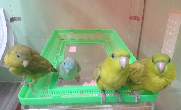 20150209-urasaza.jpg 20150209-urasaza.jpg