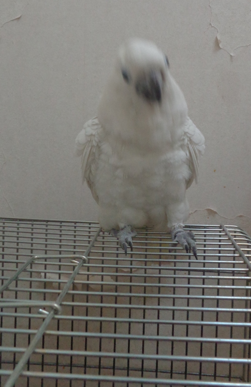 20151124-hokugoubun1.jpg 20151124-hokugoubun1.jpg