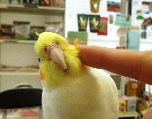 20151213-dsc04136.jpg