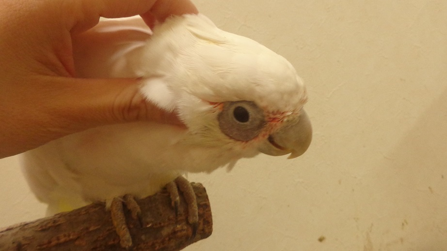 20151230-dsc04150.jpg