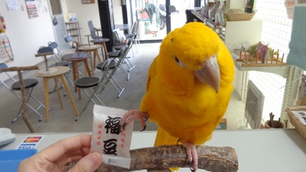 20160131-dsc04326.jpg 20160131-dsc04326.jpg