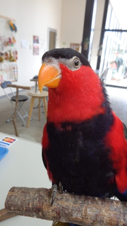 20160131-dsc04330.jpg 20160131-dsc04330.jpg