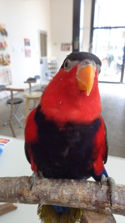 20160131-dsc04331.jpg 20160131-dsc04331.jpg