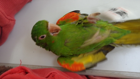 20160131-dsc04345.jpg 20160131-dsc04345.jpg