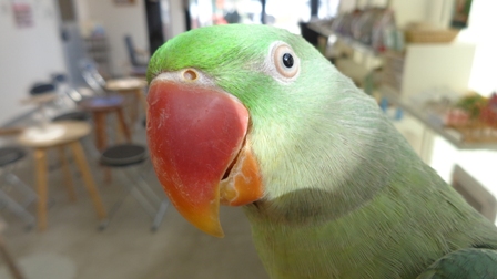 20160131-dsc04354.jpg 20160131-dsc04354.jpg