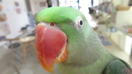 20160131-dsc04355.jpg 20160131-dsc04355.jpg
